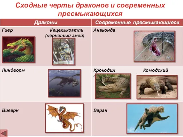 Сходные черты драконов и современных пресмыкающихся