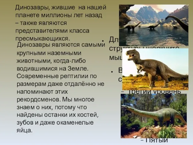 Динозавры, жившие на нашей планете миллионы лет назад – также являются представителями