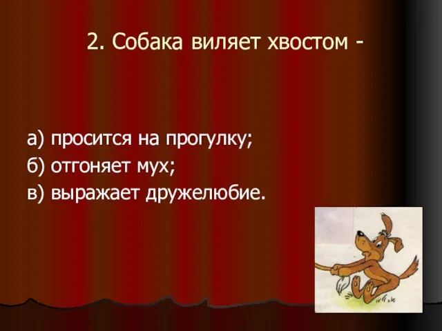 2. Собака виляет хвостом - а) просится на прогулку; б) отгоняет мух; в) выражает дружелюбие.