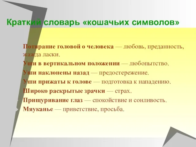 Краткий словарь «кошачьих символов» Потирание головой о человека — любовь, преданность, жажда