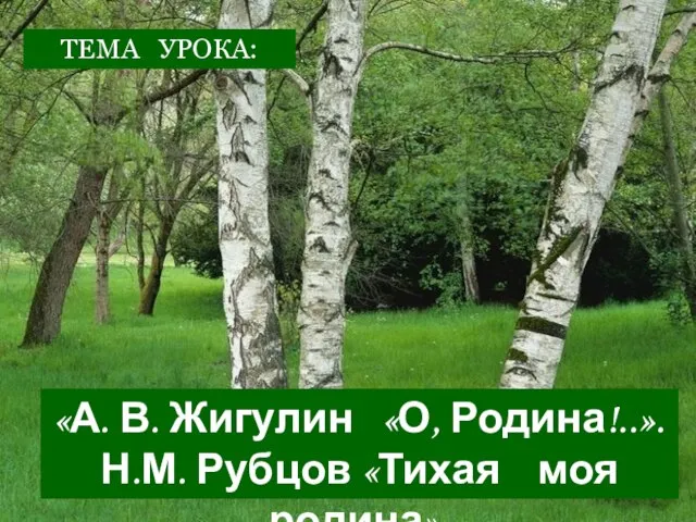 ТЕМА УРОКА: «А. В. Жигулин «О, Родина!..». Н.М. Рубцов «Тихая моя родина».