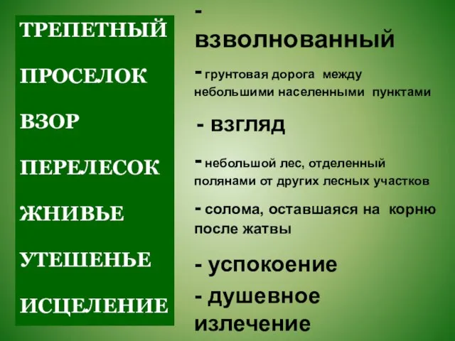 ТРЕПЕТНЫЙ ПРОСЕЛОК ВЗОР ПЕРЕЛЕСОК ЖНИВЬЕ УТЕШЕНЬЕ ИСЦЕЛЕНИЕ - грунтовая дорога между небольшими