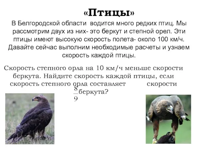 «Птицы» В Белгородской области водится много редких птиц. Мы рассмотрим двух из