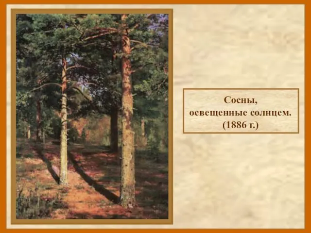 Сосны, освещенные солнцем. (1886 г.)