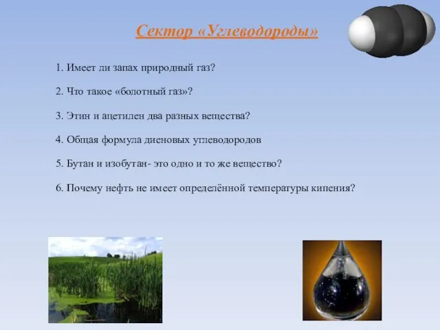 Сектор «Углеводороды» 1. Имеет ли запах природный газ? 2. Что такое «болотный