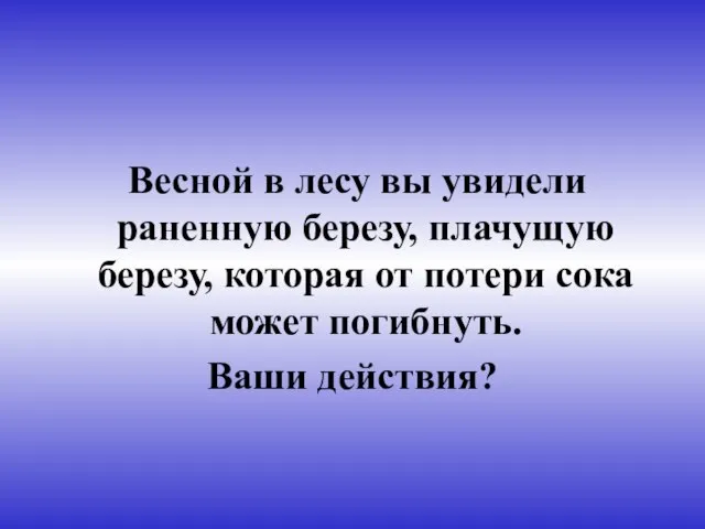 Весной в лесу вы увидели раненную березу, плачущую березу, которая от потери