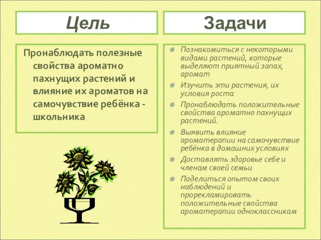 Цель Задачи Пронаблюдать полезные свойства ароматно пахнущих растений и влияние их ароматов