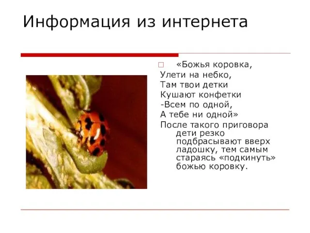 Информация из интернета «Божья коровка, Улети на небко, Там твои детки Кушают