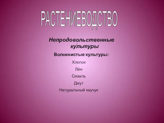 РАСТЕНИЕВОДСТВО Непродовольственные культуры Волокнистые культуры: Хлопок Лён Сизаль Джут Натуральный каучук