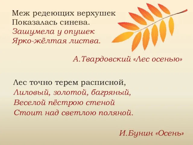 Меж редеющих верхушек Показалась синева. Зашумела у опушек Ярко-жёлтая листва. А.Твардовский «Лес