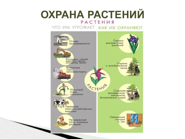 ОХРАНА РАСТЕНИЙ