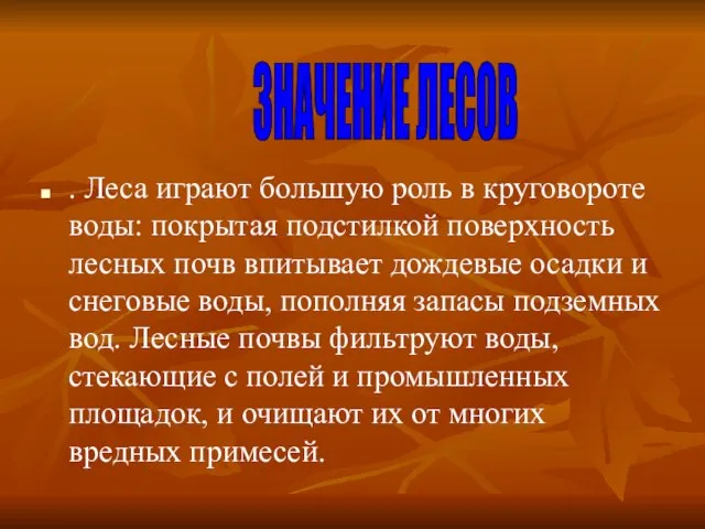 . Леса играют большую роль в круговороте воды: покрытая подстилкой поверхность лесных