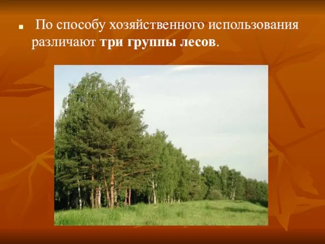 По способу хозяйственного использования различают три группы лесов.