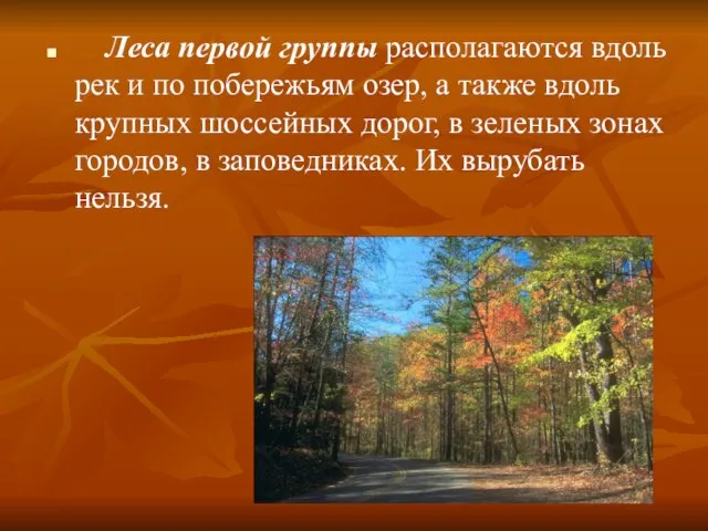 Леса первой группы располагаются вдоль рек и по побережьям озер, а также