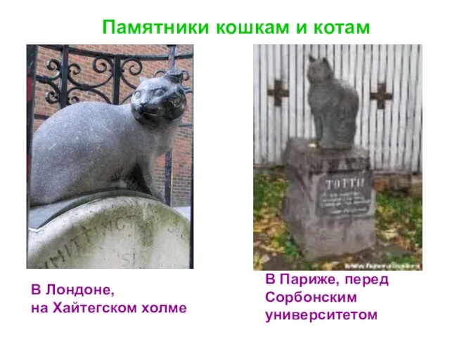 Памятники кошкам и котам В Лондоне, на Хайтегском холме В Париже, перед Сорбонским университетом