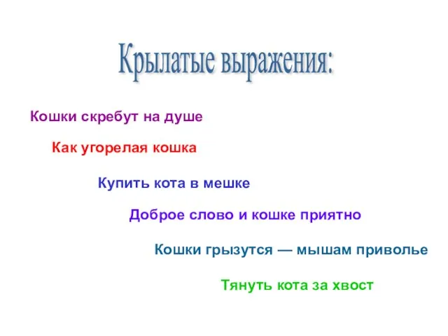 Крылатые выражения: Кошки скребут на душе Как угорелая кошка Купить кота в