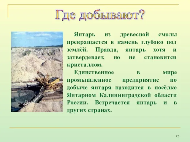 Янтарь из древесной смолы превращается в камень глубоко под землёй. Правда, янтарь