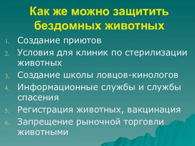 Как же можно защитить бездомных животных Создание приютов Условия для клиник по