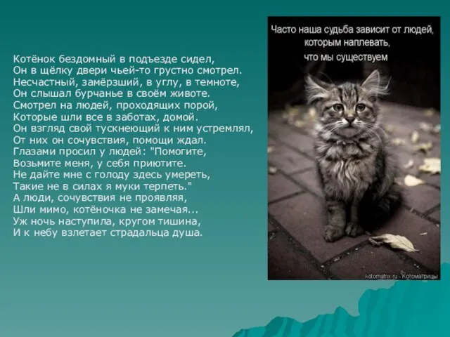 Котёнок бездомный в подъезде сидел, Он в щёлку двери чьей-то грустно смотрел.