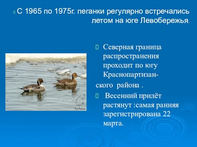 Северная граница распространения проходит по югу Краснопартизан- ского района . Весенний прилёт