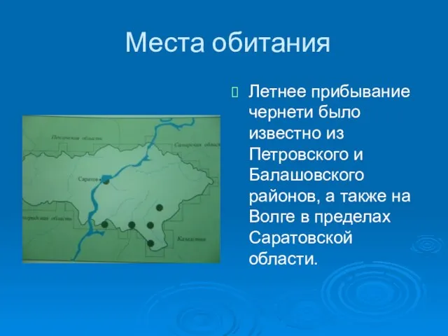 Места обитания Летнее прибывание чернети было известно из Петровского и Балашовского районов,