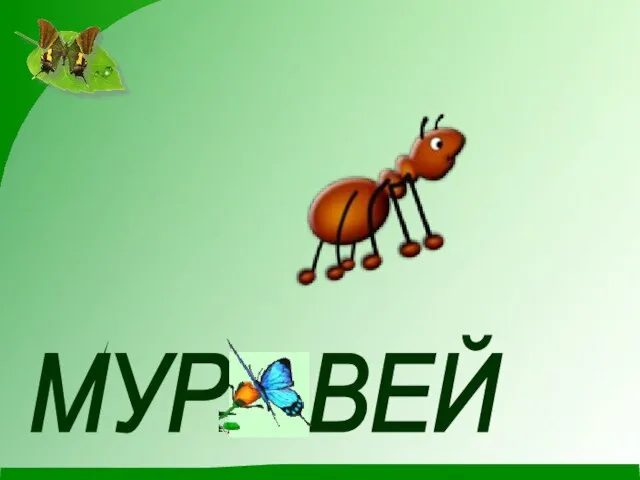 МУР ВЕЙ А