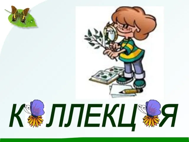 К ЛЛЕКЦ Я О И