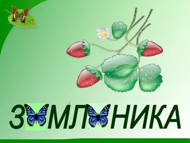 З МЛ НИКА Е Я