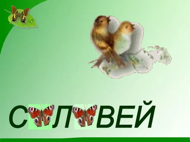 С Л ВЕЙ О О