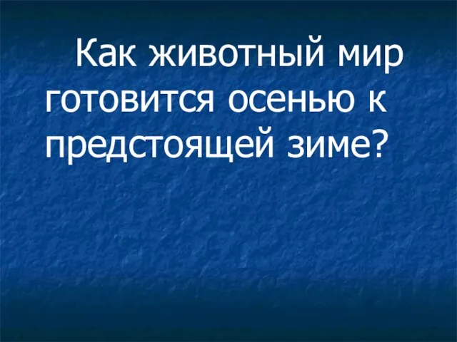 Как животный мир готовится осенью к предстоящей зиме?