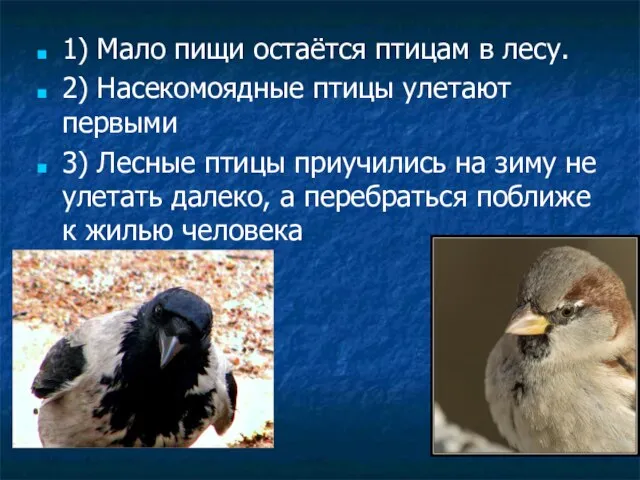 1) Мало пищи остаётся птицам в лесу. 2) Насекомоядные птицы улетают первыми