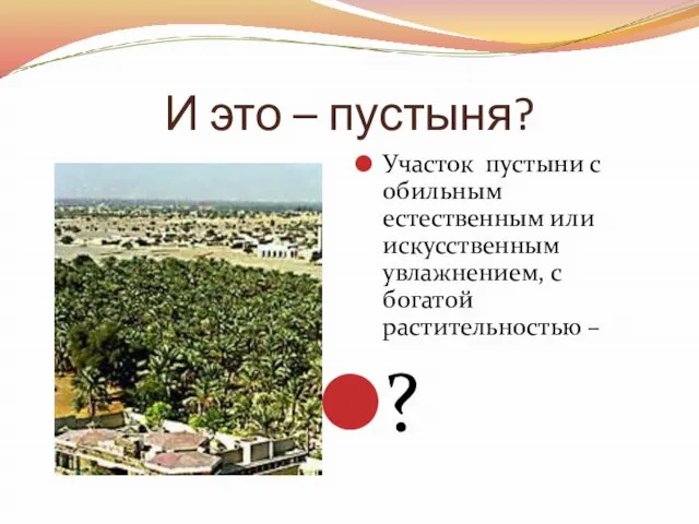 И это – пустыня? Участок пустыни с обильным естественным или искусственным увлажнением,