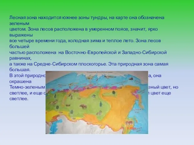 Лесная зона находится южнее зоны тундры, на карте она обозначена зеленым цветом.