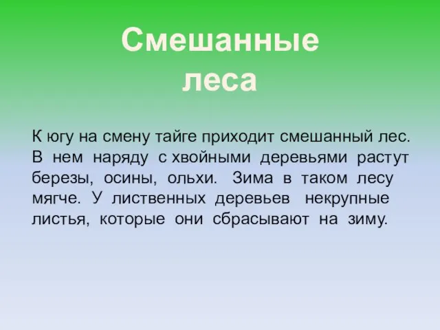 Смешанные леса К югу на смену тайге приходит смешанный лес. В нем