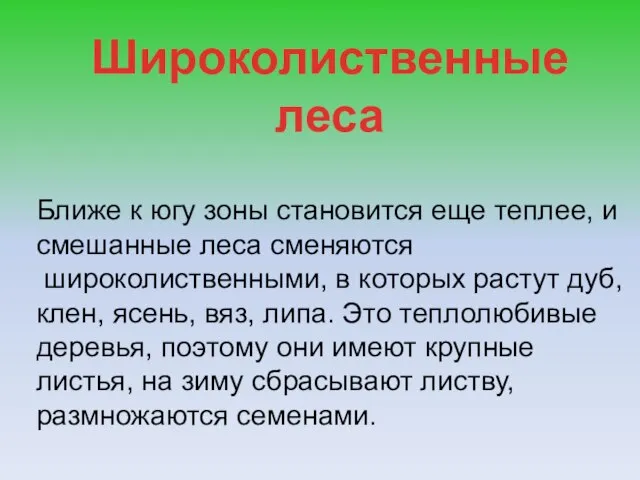 Широколиственные леса Ближе к югу зоны становится еще теплее, и смешанные леса