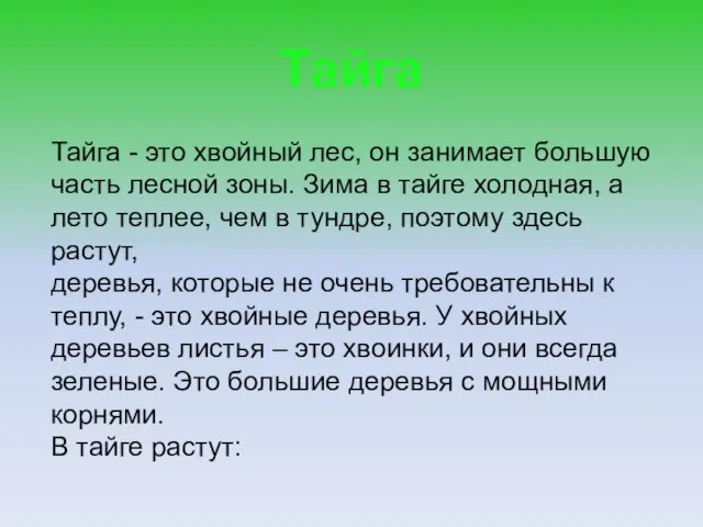 Тайга Тайга - это хвойный лес, он занимает большую часть лесной зоны.