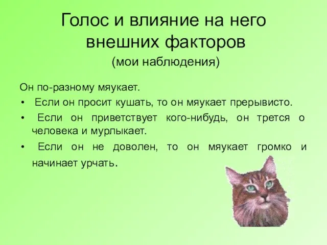 Голос и влияние на него внешних факторов (мои наблюдения) Он по-разному мяукает.