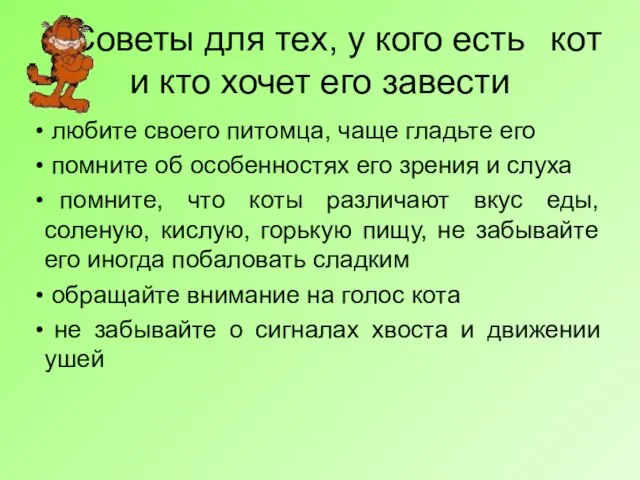 Советы для тех, у кого есть кот и кто хочет его завести