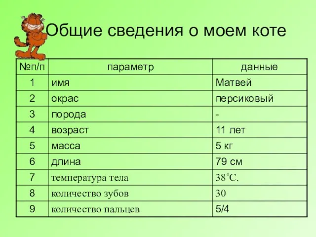 Общие сведения о моем коте