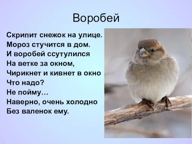 Воробей Скрипит снежок на улице. Мороз стучится в дом. И воробей ссутулился