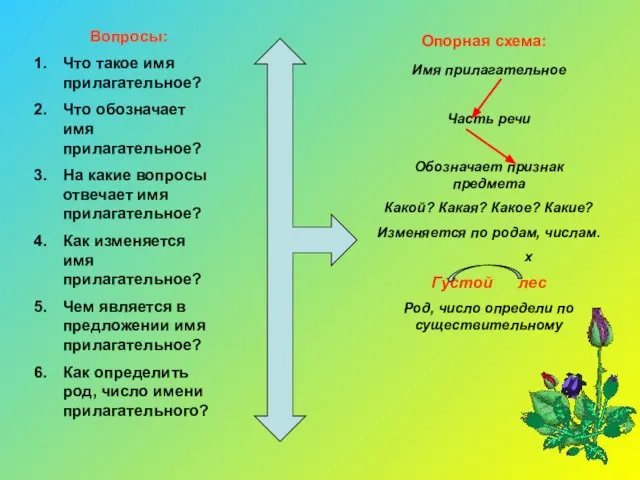 Вопросы: Что такое имя прилагательное? Что обозначает имя прилагательное? На какие вопросы