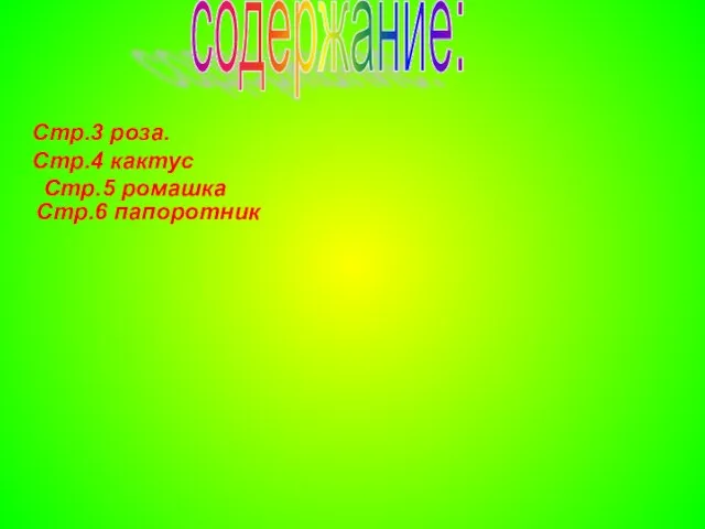 содержание: Стр.3 роза. Стр.4 кактус Стр.6 папоротник Стр.5 ромашка