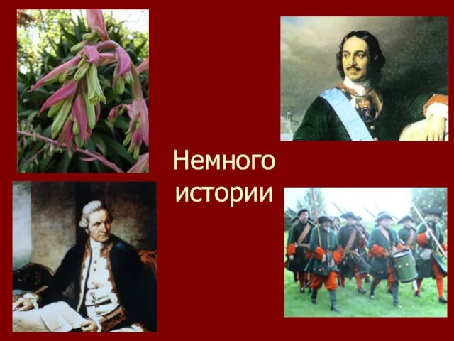 Немного истории