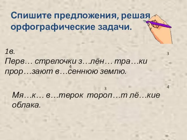 Спишите предложения, решая орфографические задачи. 1в. Перв… стрелочки з…лён… тра…ки прор…зают в…сеннюю