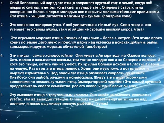 Свой белоснежный наряд эта птица сохраняет круглый год: и зимой, когда всё