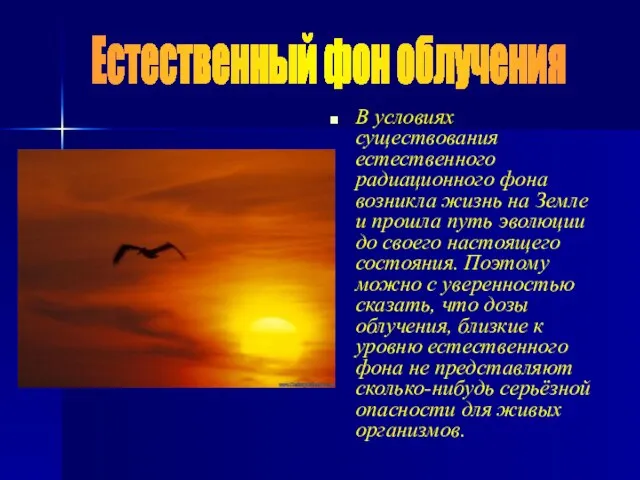 В условиях существования естественного радиационного фона возникла жизнь на Земле и прошла