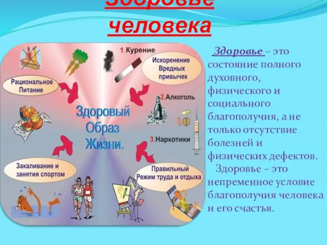 Здоровье человека Здоровье – это состояние полного духовного, физического и социального благополучия,