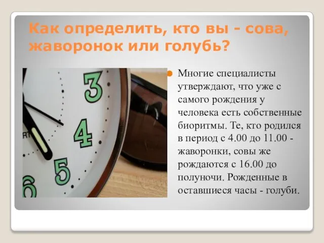 Как определить, кто вы - сова, жаворонок или голубь? Многие специалисты утверждают,