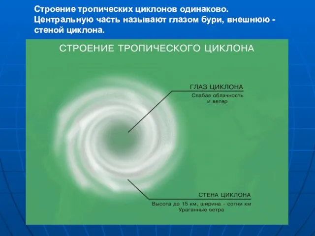 Строение тропических циклонов одинаково. Центральную часть называют глазом бури, внешнюю - стеной циклона.