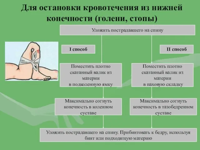 Для остановки кровотечения из нижней конечности (голени, стопы) Уложить пострадавшего на спину